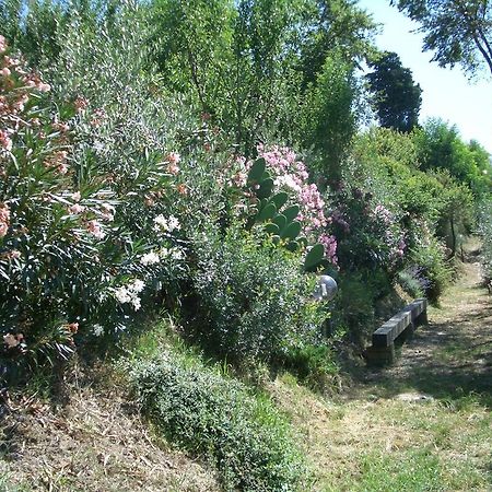 Affittacamere Gli Oleandri Castelfiorentino Esterno foto